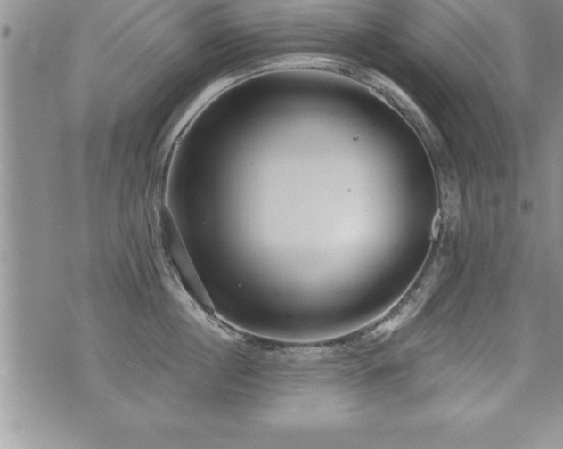 X0000071960860200607071451