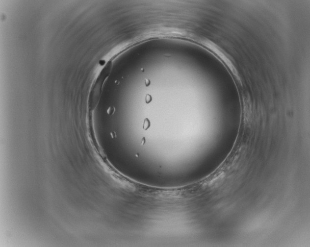 X0000071960861200607071451