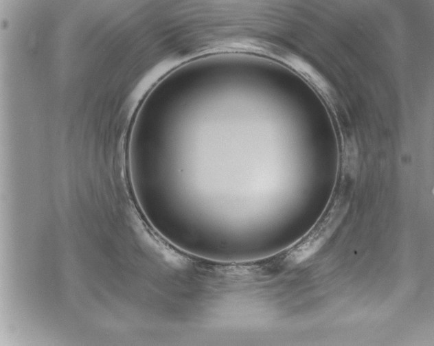 X0000071960862200607071451