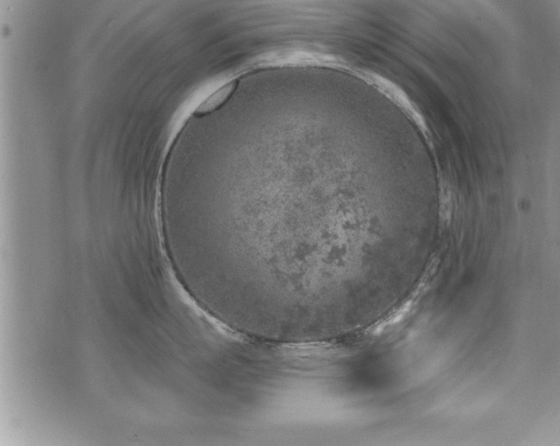 X0000071960863200607071451