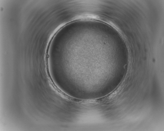 X0000071960864200607071451