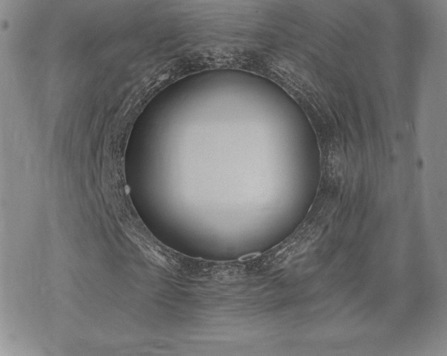 X0000071960865200607071450