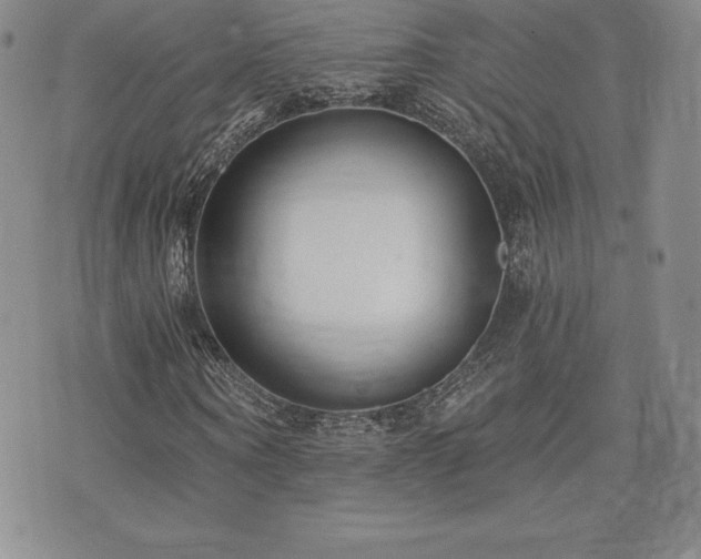 X0000071960866200607071450