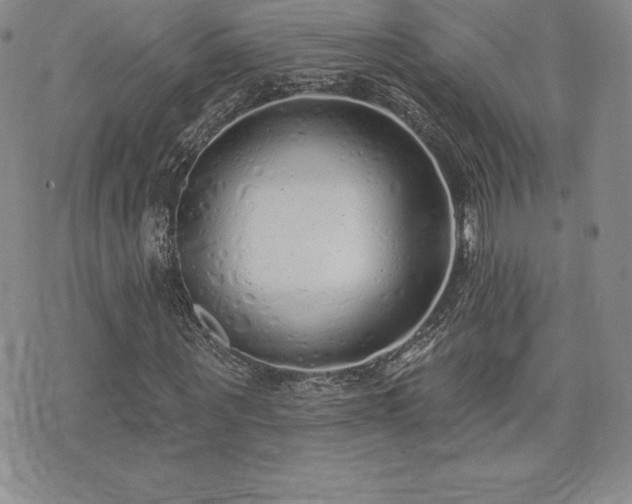 X0000071960867200607071450