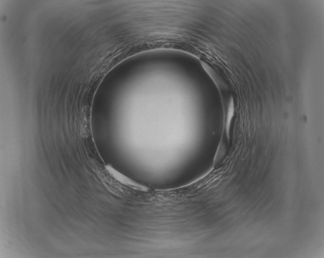 X0000071960868200607071450