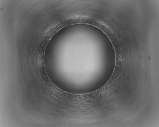 X0000071960869200607071450