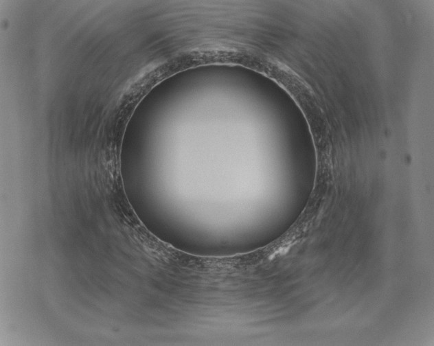 X0000071960870200607071450