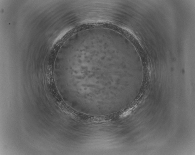 X0000071960871200607071450