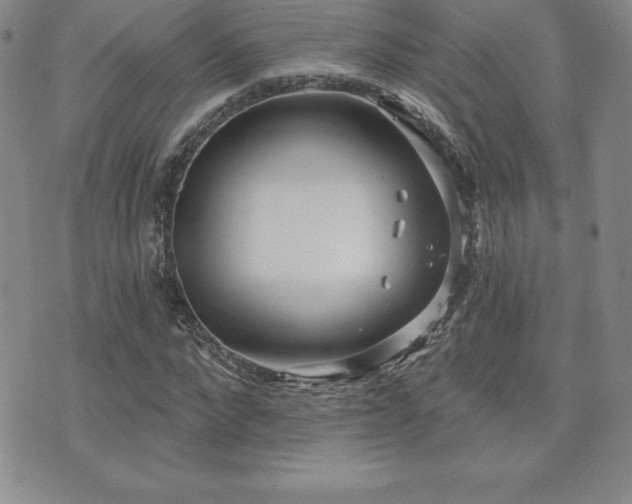 X0000071960872200607071450