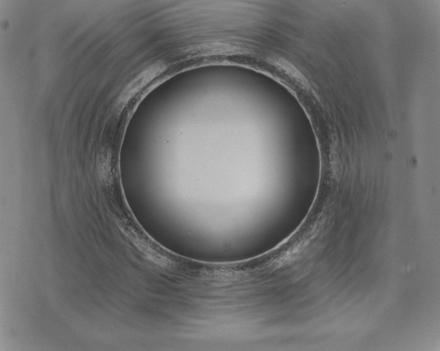 X0000071960873200607071450