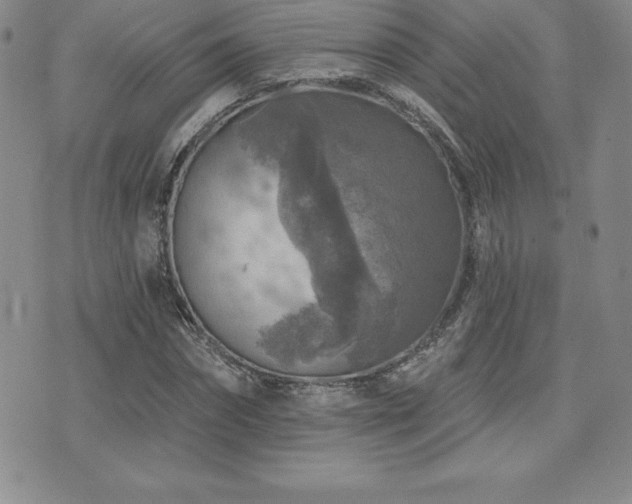 X0000071960874200607071450