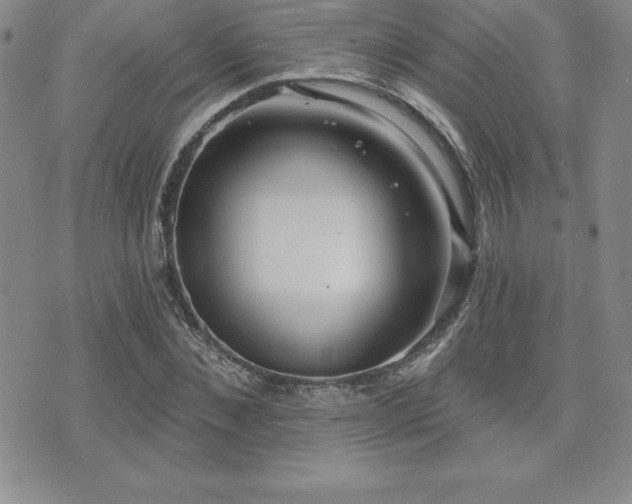 X0000071960876200607071450