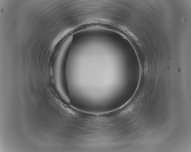 X0000071960877200607071450