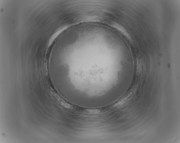 X0000071960878200607071450