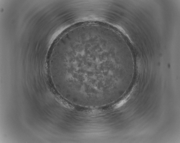 X0000071960879200607071450