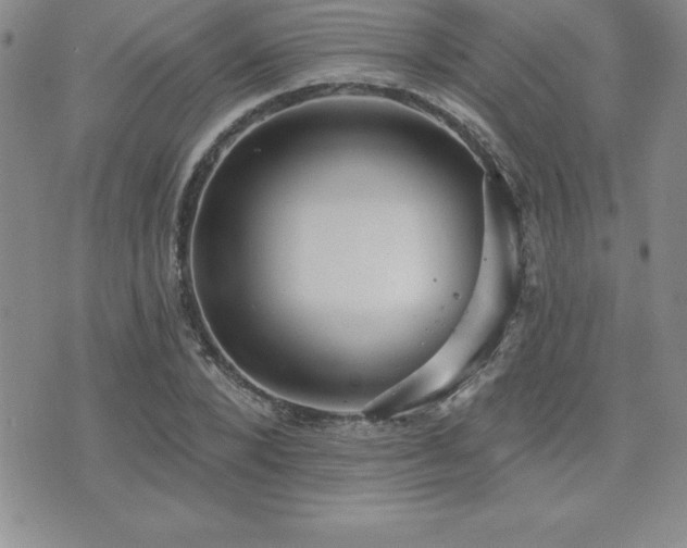 X0000071960880200607071450