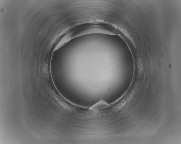 X0000071960881200607071450