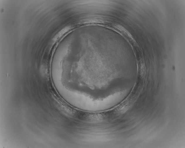 X0000071960882200607071450