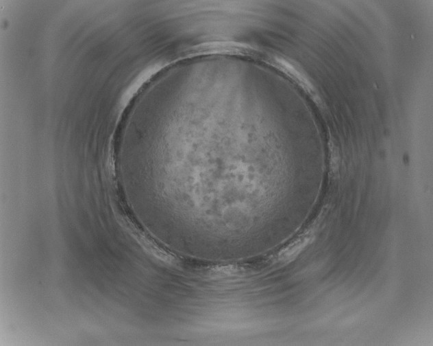 X0000071960883200607071450