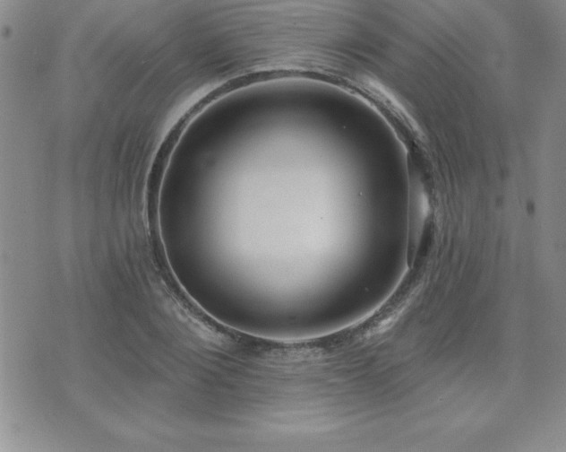 X0000071960884200607071450