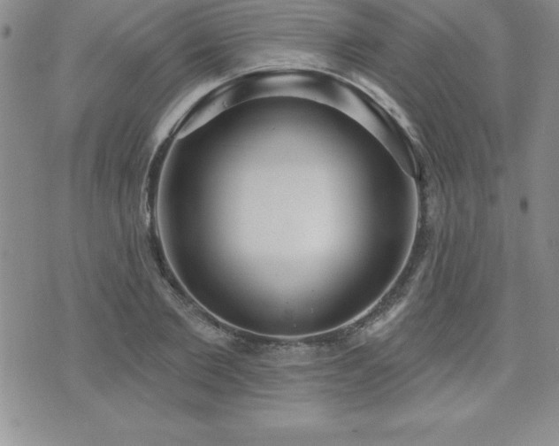 X0000071960885200607071450