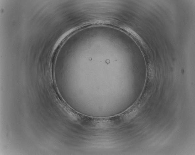 X0000071960886200607071450