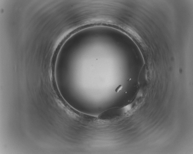 X0000071960888200607071450