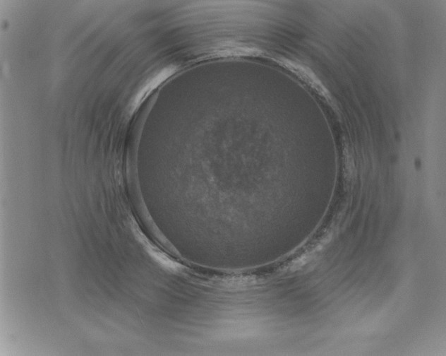 X0000071960889200607071450