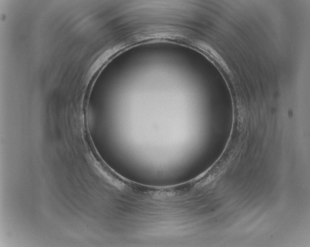 X0000071960890200607071450