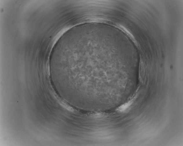 X0000071960891200607071450