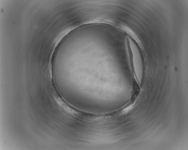 X0000071960892200607071450