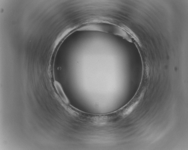 X0000071960893200607071450