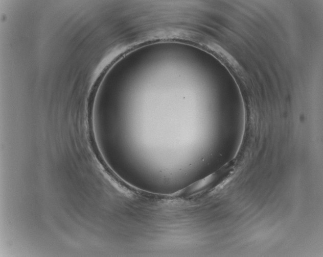 X0000071960894200607071450