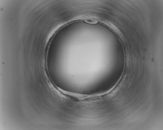 X0000071960896200607071450