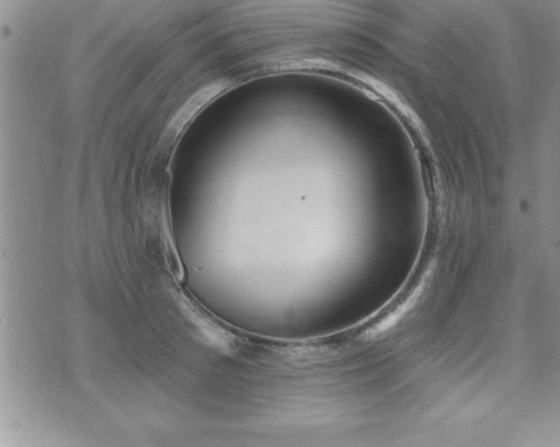 X0000071960897200607071450