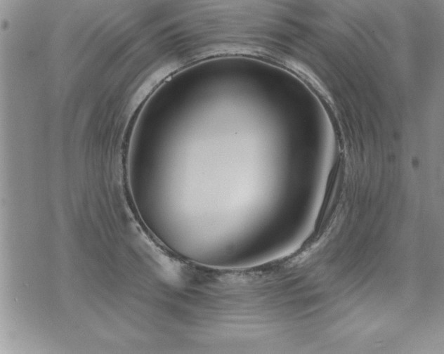 X0000071960898200607071450