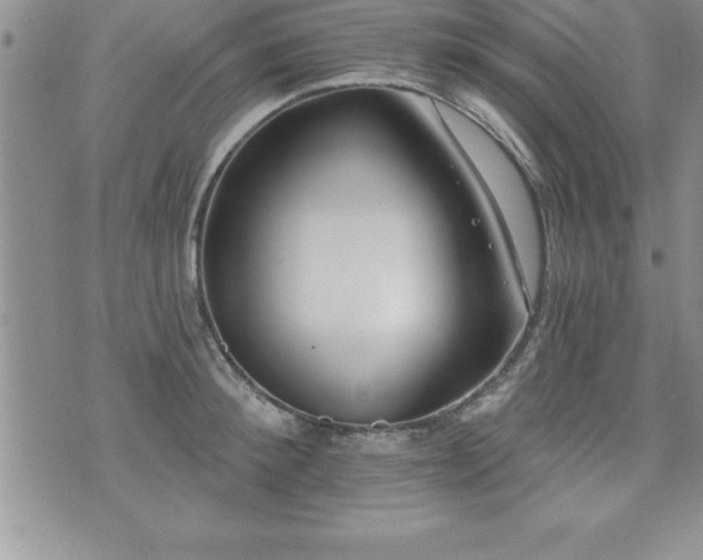 X0000071960900200607071449