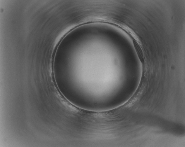 X0000071960904200607071449