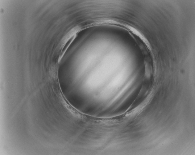 X0000071960905200607071449