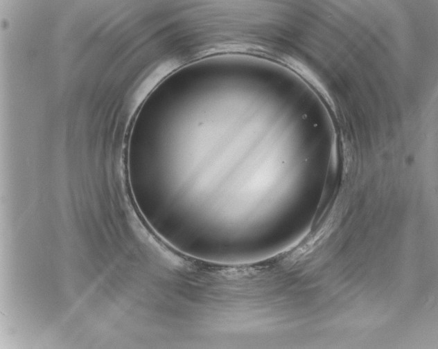 X0000071960906200607071449