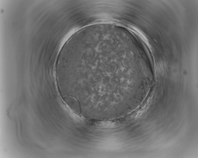 X0000071960907200607071449