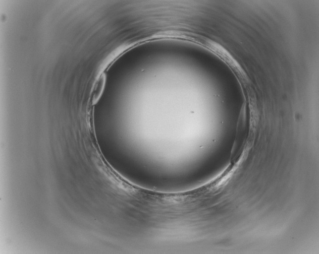 X0000071960908200607071449