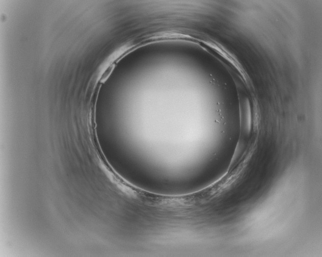 X0000071960909200607071449