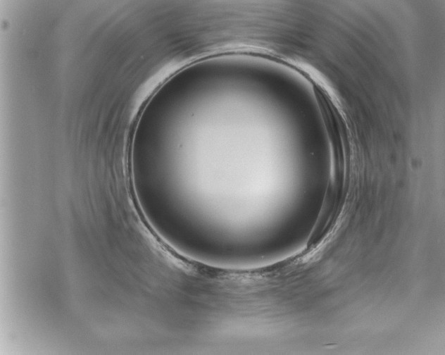 X0000071960910200607071449