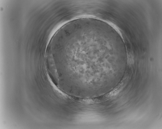 X0000071960911200607071449