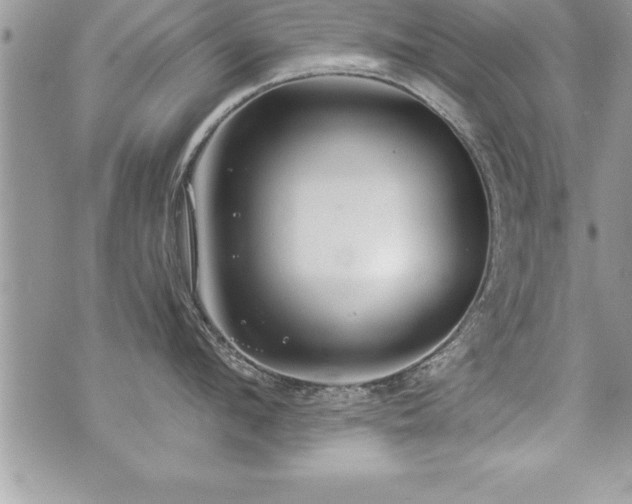 X0000071960912200607071449