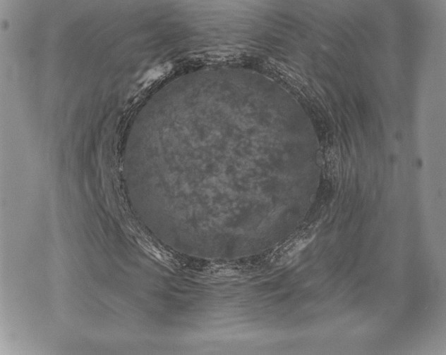 X0000071960913200607071449