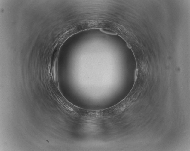 X0000071960914200607071449