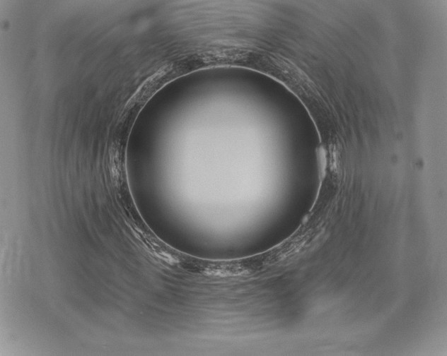 X0000071960915200607071449