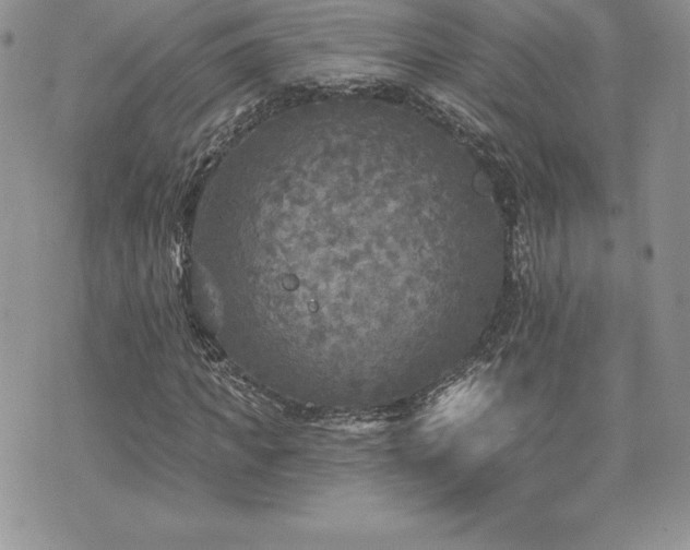 X0000071960917200607071449